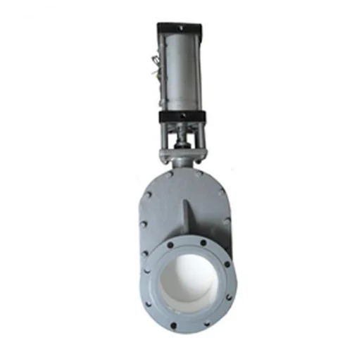 Double Disc Ash Intake Valve